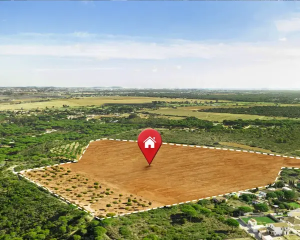 Terreno llano y despejado, marcado con un pin de casa, rodeado de pinos y vegetación. Un área de suelo terciario ideal para construir.
