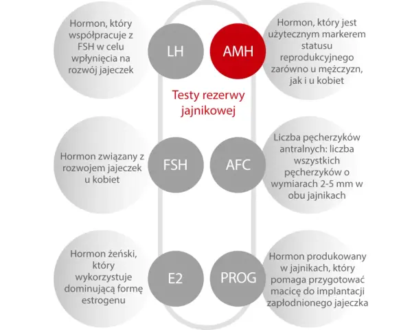 Badanie AMH to marker płodności. Wykres przedstawia hormony i wskaźniki oceny rezerwy jajnikowej.