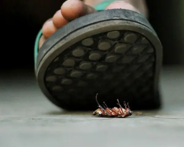 Un pie aplasta una cucaracha.