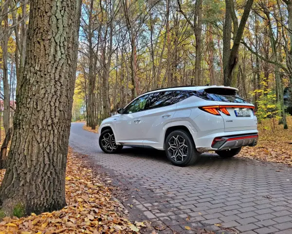 Biały Hyundai Tucson Hybrid na jesiennej drodze wśród drzew.