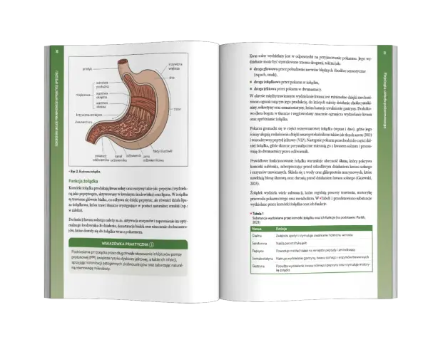 Helicobacter pylori: Złoty standard leczenia w Polsce leki i schematy