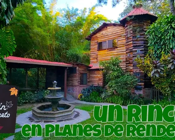 Pizza y jardín: Descubre tu rincón secreto para disfrutar