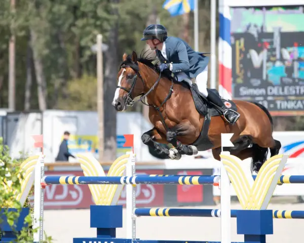 Le cavalier et Tinka's Hero, le champion de Tinka, franchissent un obstacle.