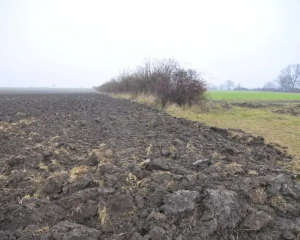 Pola uprawne i zarośla na tle mglistego krajobrazu. Zastanawiasz się, ile kosztuje hektar ziemi?