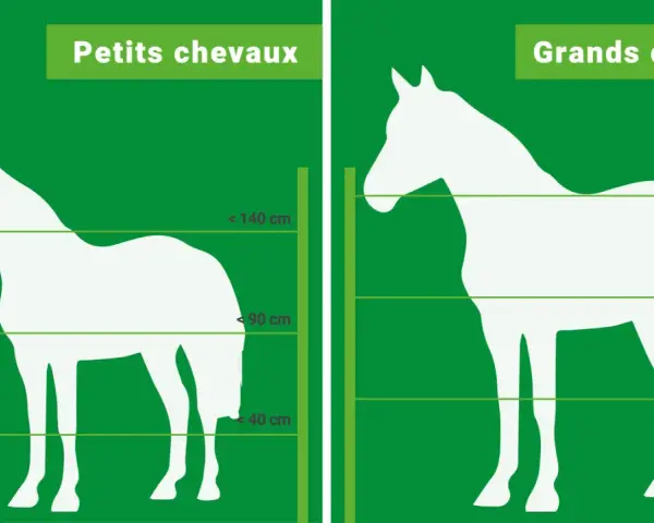 Comparaison de la hauteur cloture chevaux : petits et grands chevaux, avec indications de tailles.