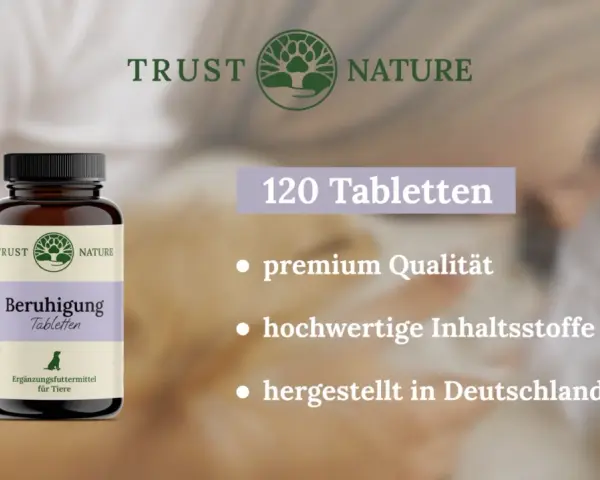 Medikamente gegen Nervosität: Effektive Lösungen und natürliche Alternativen