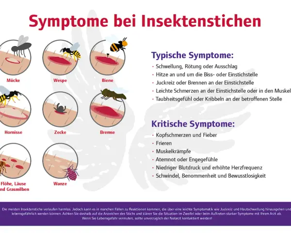 Illustrationen zeigen verschiedene Insektenstiche und ihre Symptome, wie Schwellung und Rötung. Eine wundrose nach insektenstich kann verschiedene Ursachen haben.
