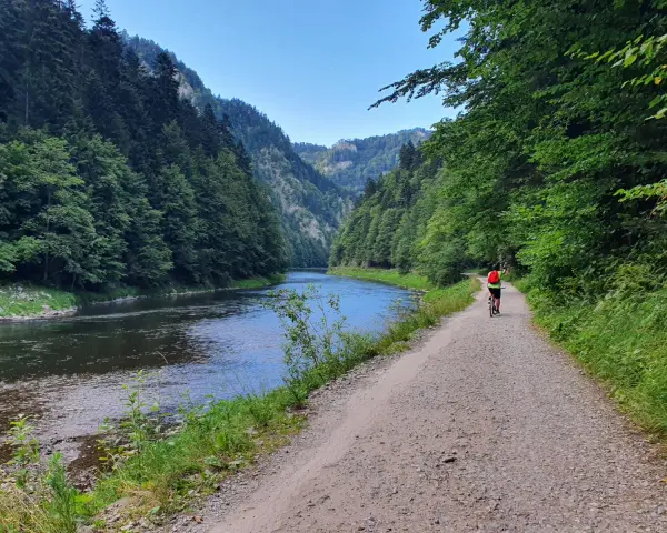 Rowerzysta przemierza malowniczą trasę velo dunajec w otoczeniu zielonych gór i spokojnej rzeki.