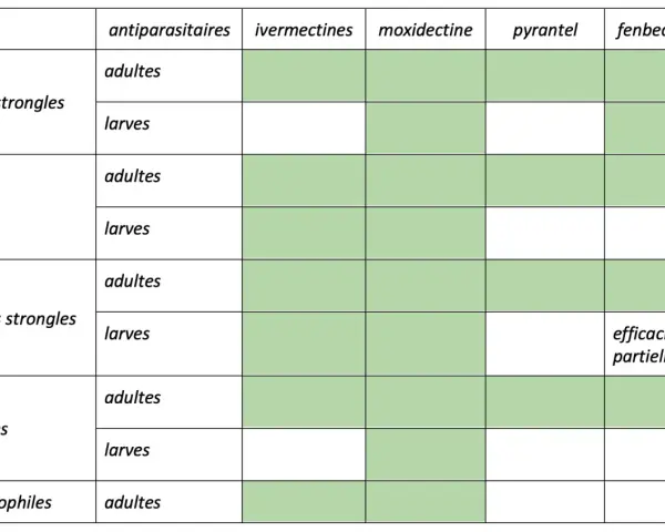 Tableau comparant l'efficacité de divers antiparasitaires contre les vers des chevaux (adultes et larves) : petits strongles, ascaris, grands strongles, oxyures, gastérophiles.