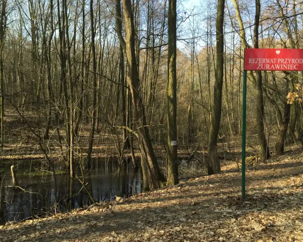Rezerwat przyrody Żurawiniec - odkryj jego unikalne tajemnice i atrakcje