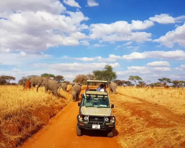 Niesamowite safari w Tanzanii! Słońce, chmury i stado słoni na tle sawanny. W oddali widać samochód terenowy z turystami.