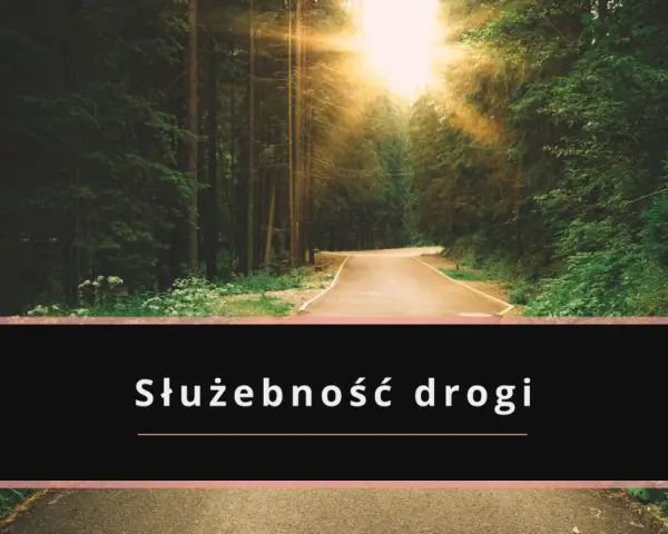 Droga przez las, gdzie słońce przebija się przez drzewa. Tekst "Służebność drogi" sugeruje potencjalne problemy z dostępem.