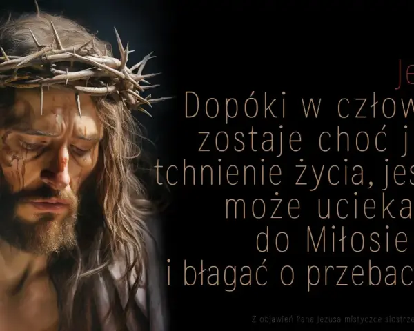 Twarz Jezusa w koronie cierniowej, z krwawymi śladami. Słowa Jezusa: "Dopóki w człowieku zostaje choć jedno tchnienie życia, jeszcze może uciekać się do Miłosierdzia i błagać o przebaczenie.