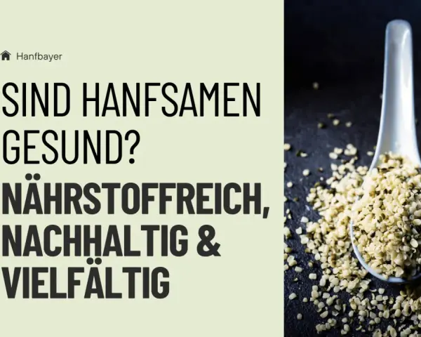Sind Hanfsamen gesund? Ja, sie sind nährstoffreich, nachhaltig und vielseitig. Auf einem Löffel liegen Hanfsamen.