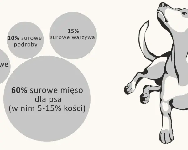 Ile surowego mięsa dla psa? Poznaj idealne proporcje dla zdrowia