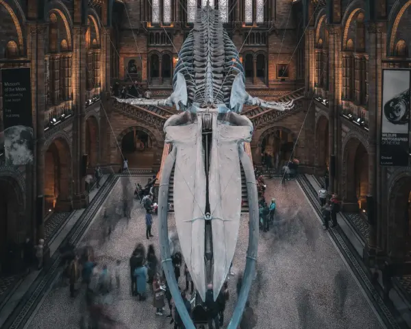 Londra gratis: Musei, parchi e attrazioni imperdibili a costo zero