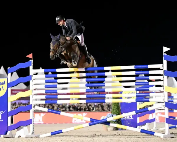 Cavalier et cheval en plein saut lors de l'épreuve des 6 barres. Le cheval est au sommet de son effort, les pattes repliées, franchissant l'obstacle.