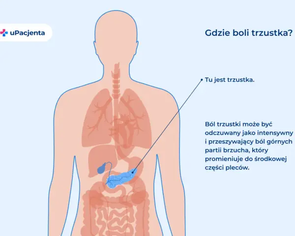Ilustracja pokazuje ludzkie ciało z zaznaczonymi narządami. Wskazuje, gdzie jest trzustka, organ odpowiedzialny za trawienie i produkcję hormonów.