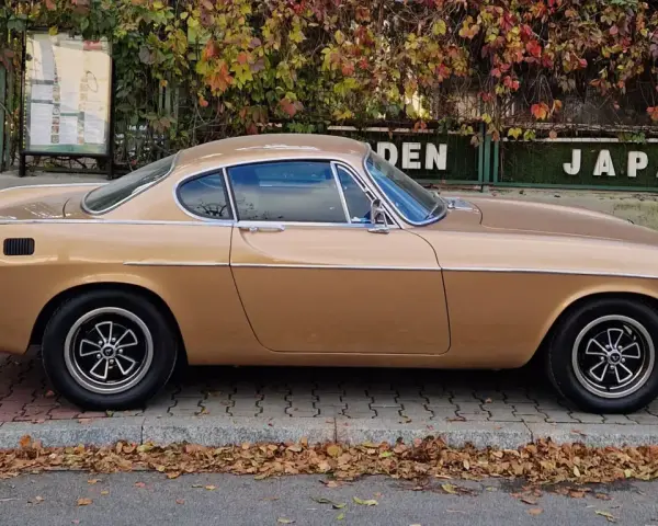 Klasyczny Volvo P1800 w kolorze złotym, zaparkowany na tle jesiennych liści i zielonego płotu z napisem "JAPAN".