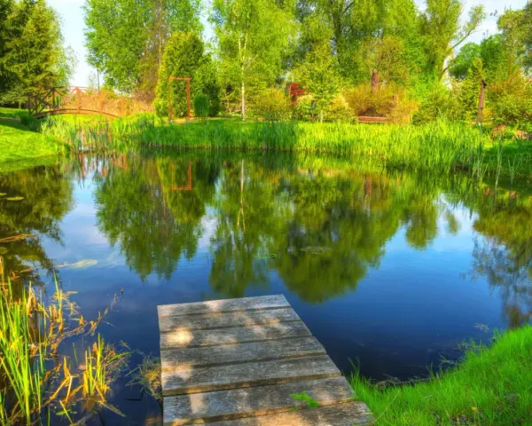 Drewniany pomost nad spokojnym stawem, otoczonym bujną zielenią i drzewami. Idealne miejsce na relaks po budowie stawu.