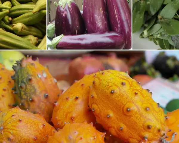Kiwano, bakłażany, okra i inne egzotyczne warzywa tworzą barwną mozaikę smaków.