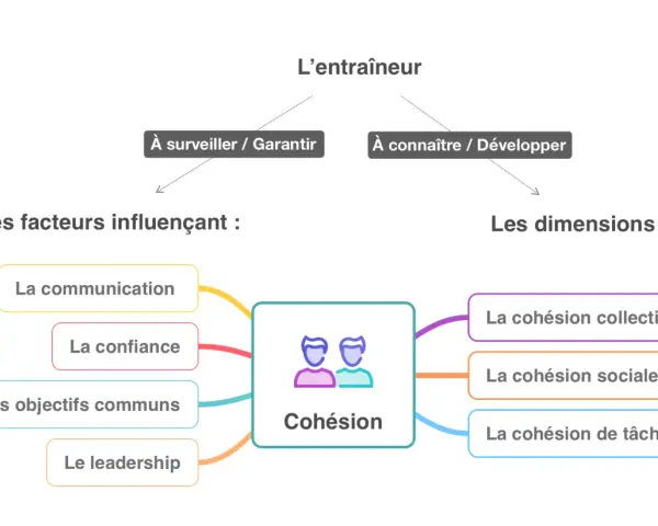Schéma sur la cohésion d'équipe, ses facteurs (communication, confiance, objectifs, leadership) et ses dimensions (collective, sociale, tâche). Idéal pour relever des défis sportifs rigolos !