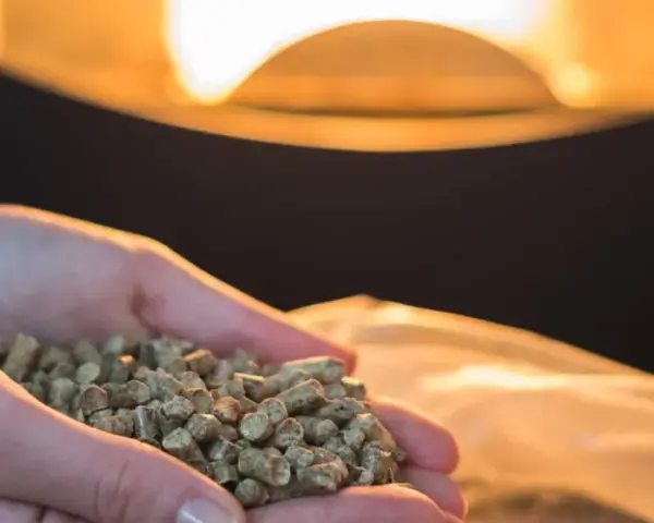 Dłonie trzymające pellet, gotowe do codziennego wygaszania pieca na pellet. Ciepłe światło z paleniska.