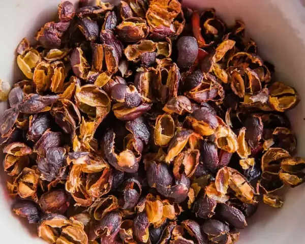 Suszone skórki kawy, czyli cascara. To produkt uboczny procesu produkcji kawy, który można zaparzyć jak herbatę.