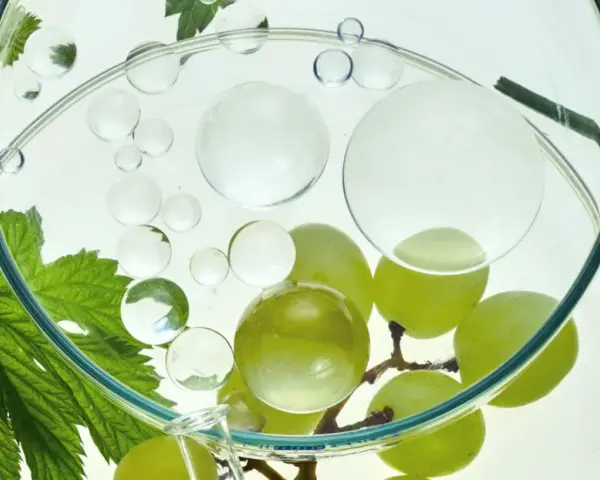 Grüne Trauben und Blätter in einem Glasgefäß mit Bläschen. Die natürliche resveratrol wirkung haut wird erforscht.