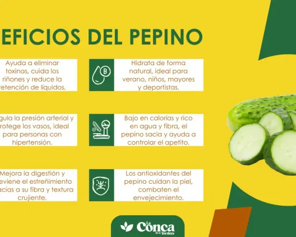 Beneficios del pepino: hidrata, regula la presión, mejora digestión y cuida la piel. ¡Un aliado natural!