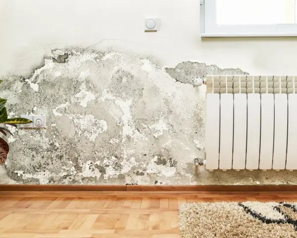 Pared con humedad y moho, indicando para que sirve el agua fuerte: para eliminar estas manchas y restaurar la pared.