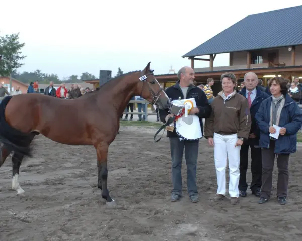 Un cheval brun primé, avec le numéro 318, est présenté par un homme tenant un trophée. Derrière eux, des spectateurs et des juges se tiennent près d'un bâtiment, formant des monceaux d'admiration.