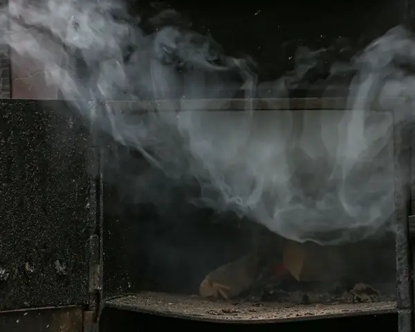 Dentro di un camino, il fuoco brucia legna, ma il fumo denso e bianco si diffonde all'esterno, creando un'atmosfera suggestiva.