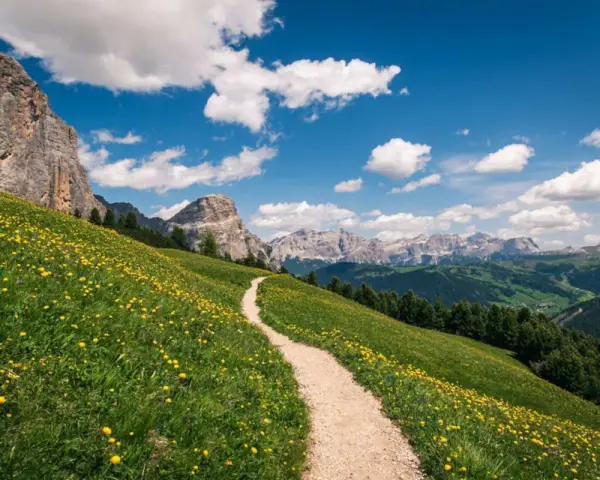 Sentiero in fiore per un trekking di 5 giorni in Italia. Montagne maestose e cielo azzurro con nuvole bianche.