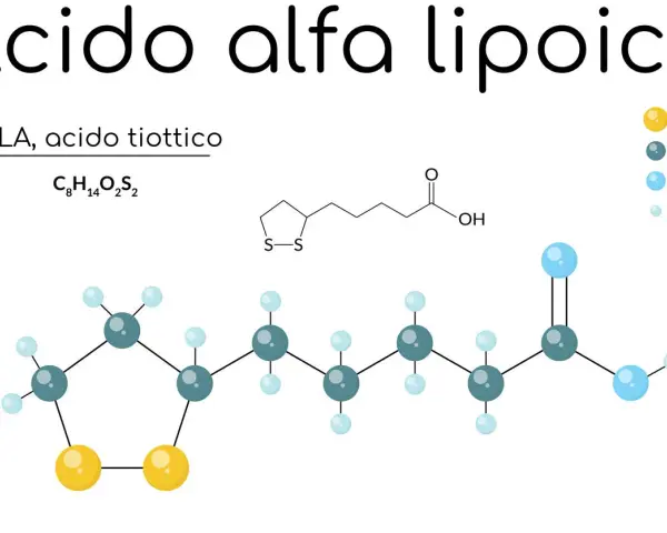 Acido alfa lipoico (ALA) a cosa serve? Struttura chimica e formula C8H14O2S2. Utile antiossidante.
