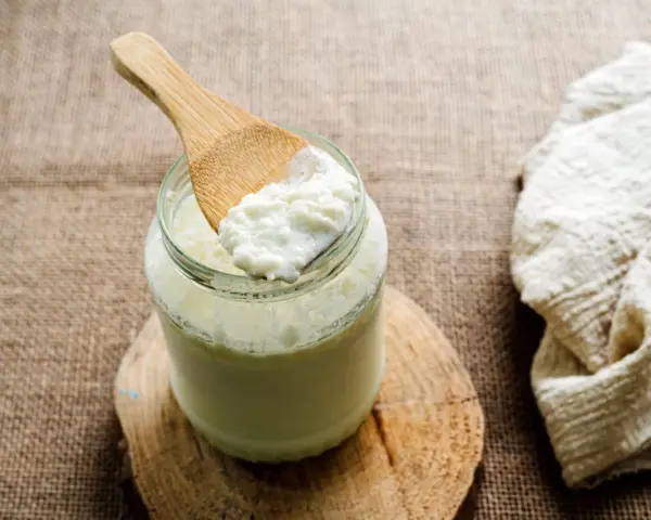 Une cuillère en bois prélève du lait fermenté d'un bocal. Idéal pour savoir que faire avec du lait fermenté.