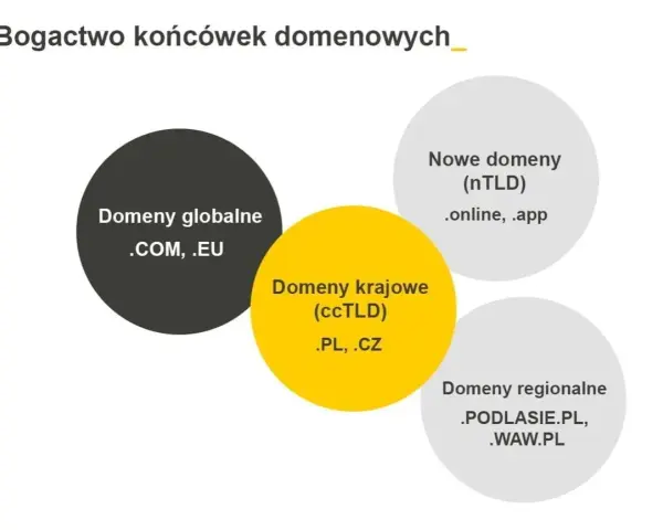 Domeny internetowe dla początkujących: Co to, jak działa, jak wybrać?