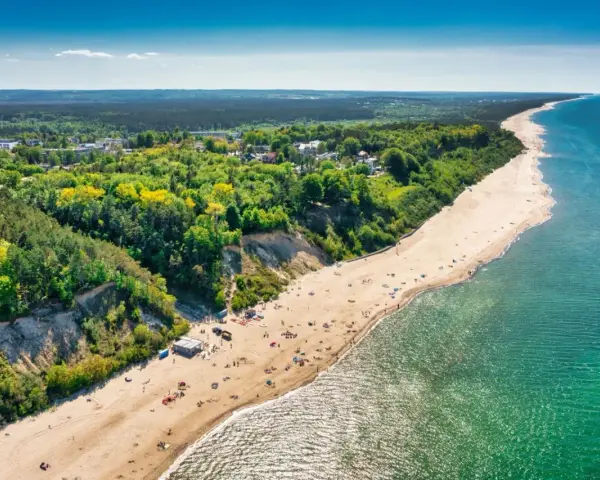 Widok z lotu ptaka na piaszczystą plażę w Jastrzębiej Górze z klifem i lasem.