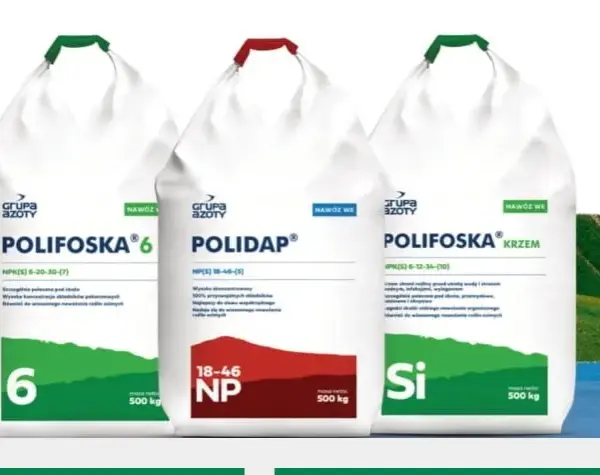 Ile polifoski na trawnik? Sprawdź, jak osiągnąć piękny trawnik