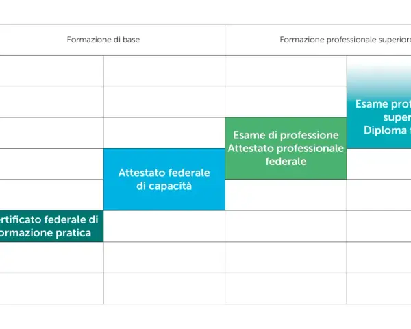 Schema livelli formazione: il livello 3 corrisponde al Certificato federale di formazione pratica.