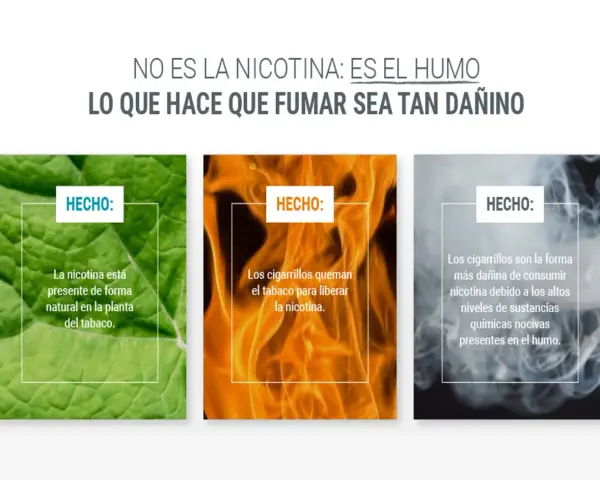 La nicotina, presente en el tabaco, se libera al quemarse. El humo del cigarrillo es lo dañino, no solo qué hace la nicotina en el cuerpo.