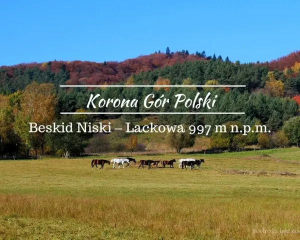 Jesienne barwy Beskidu Niskiego, z Łacową jako jednym z jego szczytów. Konie pasące się na łące.