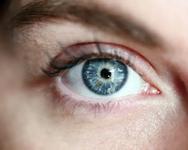 Occhio azzurro intenso, con iride dettagliata che riflette la luce. La sua trasparenza evoca il **vitrea significato** di profondità e purezza.
