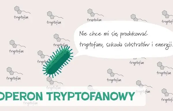 Co to jest transkrypcja w biologii? Klucz do zrozumienia genów