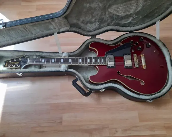 Rote E-Gitarre im Koffer, ein Beispiel für verschiedene E-Gitarrentypen, bereit für den Transport.
