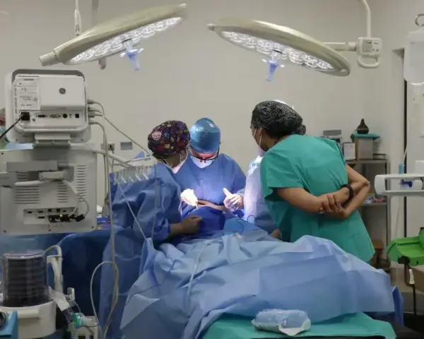 Zespół medyczny podczas operacji. Pielęgniarka operacyjna czuwa nad przebiegiem zabiegu, świadoma potencjalnych problemów prawnych w pracy.