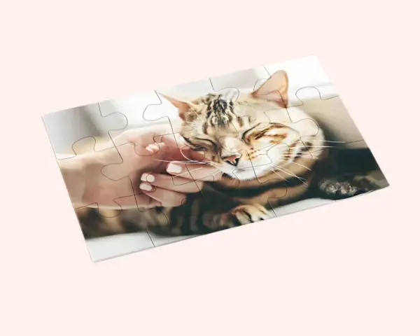 Jak zrobić puzzle ze zdjęcia? Ułóż obrazek z kotem, który głaszcze dłoń.