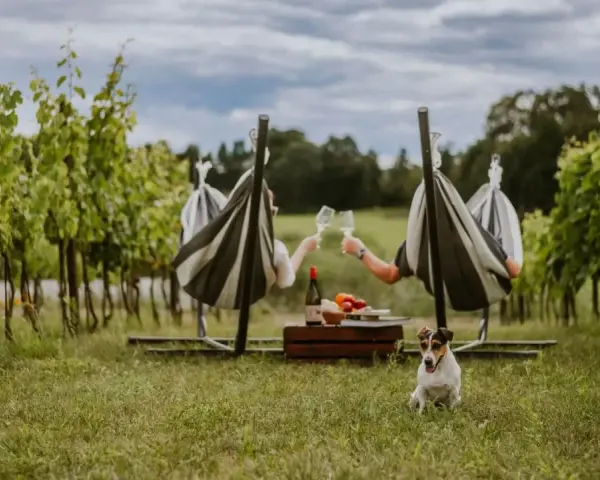 Urocza winnica w Polsce. Para w hamakach wznosi toast, a piesek pilnuje pikniku.