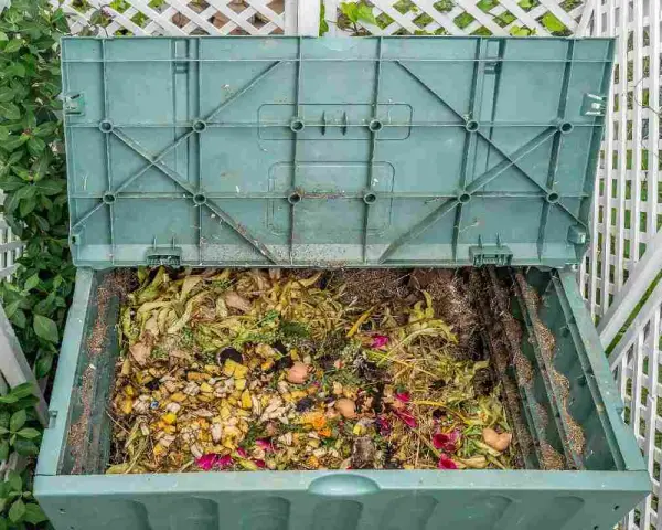 Compostiera verde piena di scarti organici, un esempio di bokashi fai da te per un giardino sostenibile.