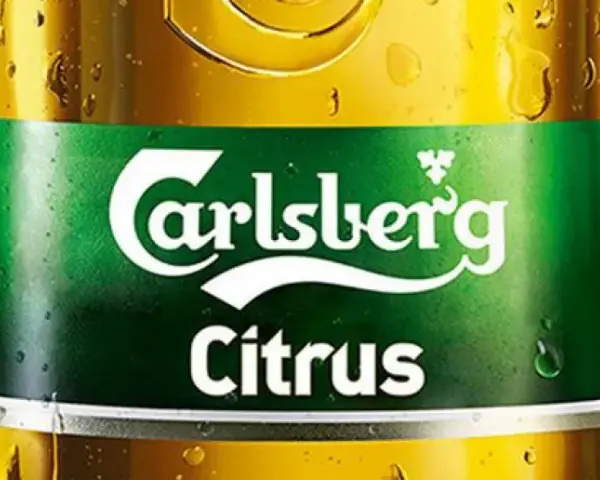 Carlsberg Polska: Pełne Portfolio Piw i Smaków (Przewodnik 2024)
